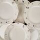 Flat plates x8 - Digoin Sarreguemines, Falaise model