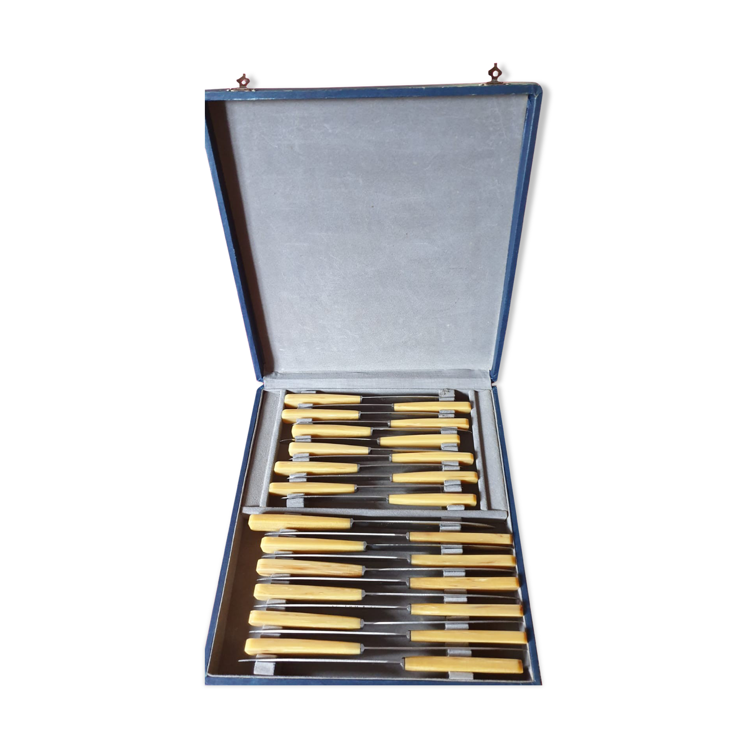Box of 24 horn handle knives