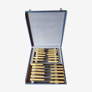Box of 24 horn handle knives
