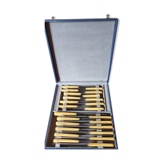 Box of 24 horn handle knives