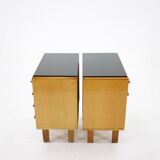 1960s Frantisek Mezulanik Pair of Chest of Drawers, Czechoslovakia