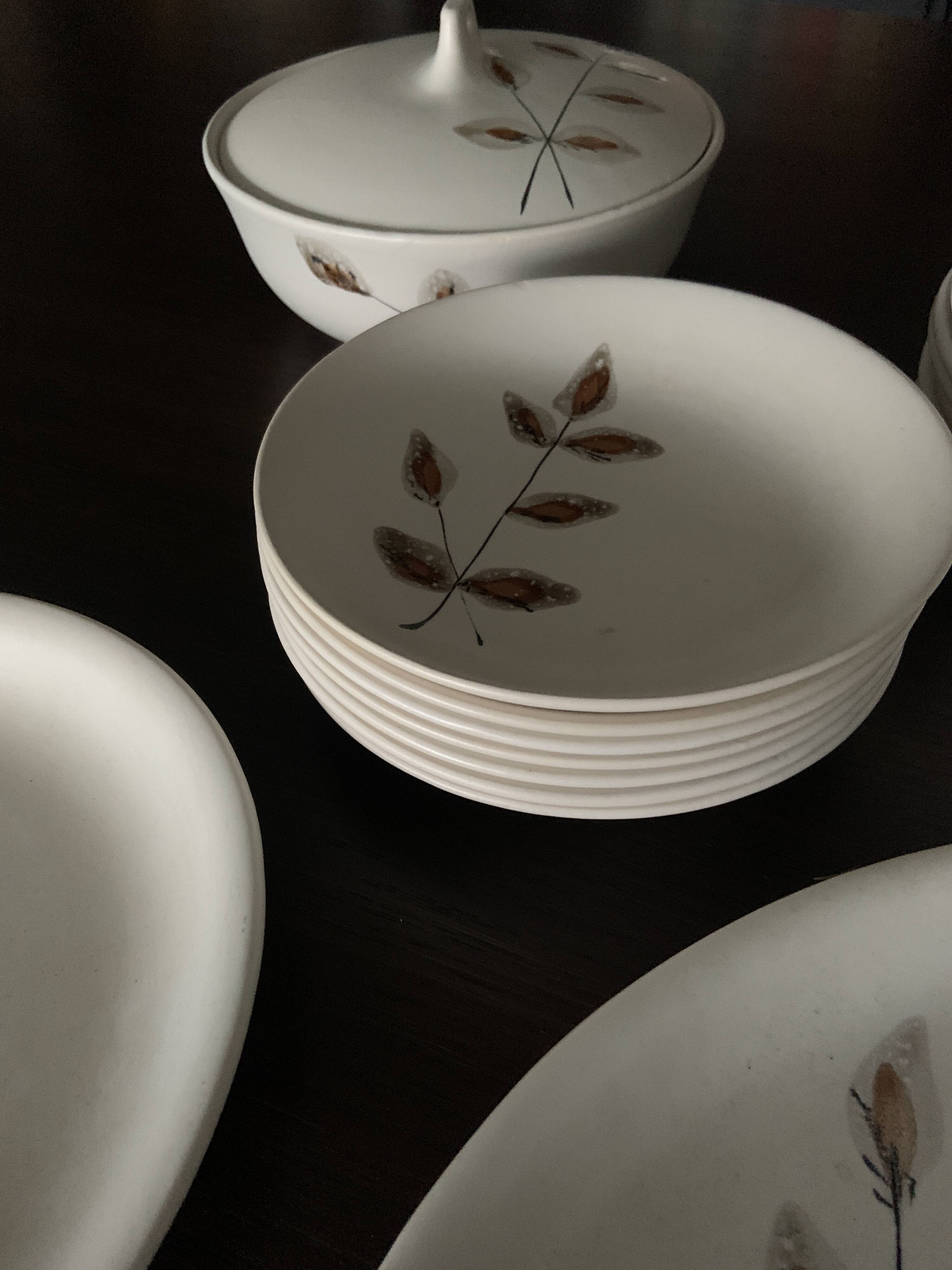 Niderviller plate set dinner service