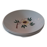 Deep plate Salins France