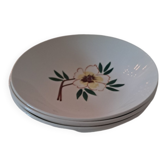 Assiette creuse Salins France