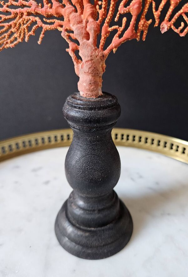 Gorgone Rouge Socle en marron. H : 29 cm   Objet de Décoration & Curiosité