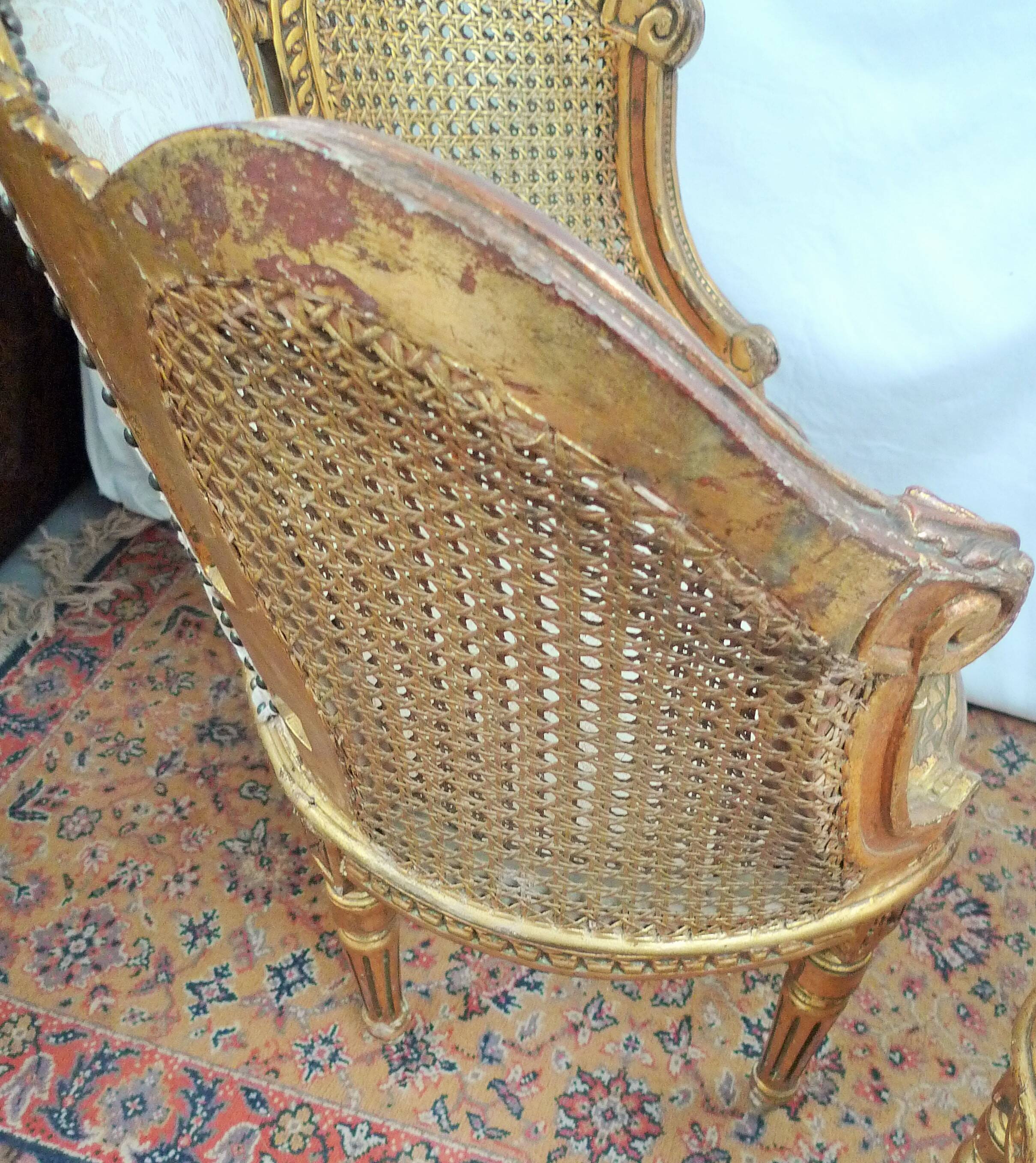 Paire de fauteuils corbeille