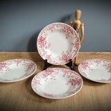 Quartet plates Campanula