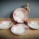 Quartet plates Campanula