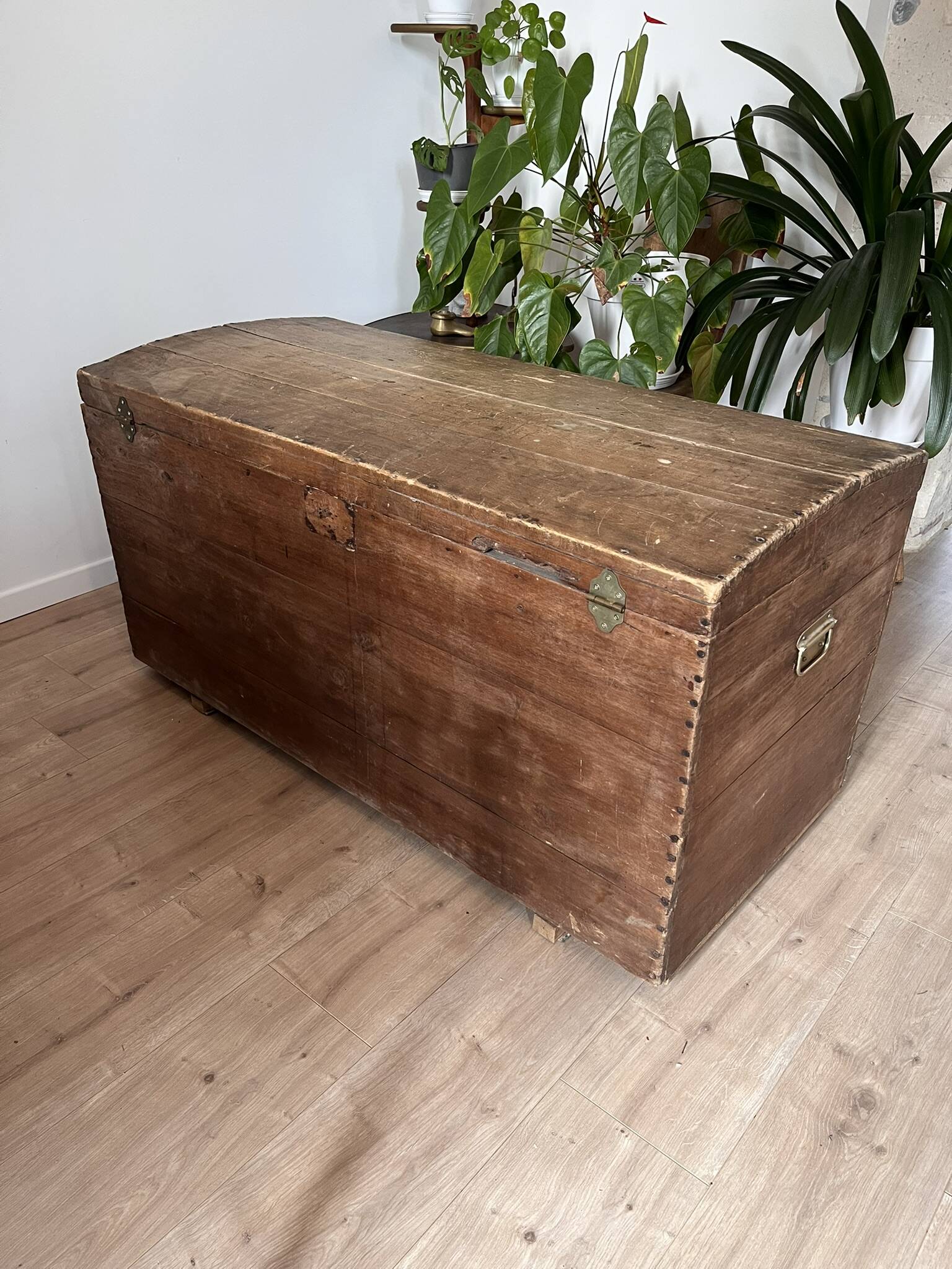 Vintage wooden trunk