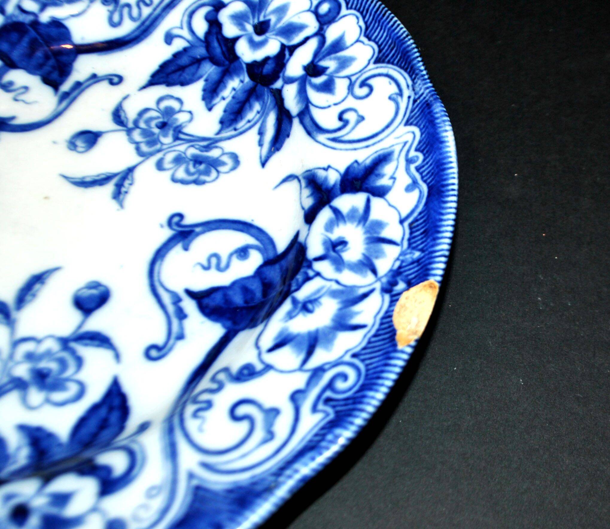 Lot de 6 assiettes Flora décor liseron bleu LM&cie 1840-1875 Creil Montereau