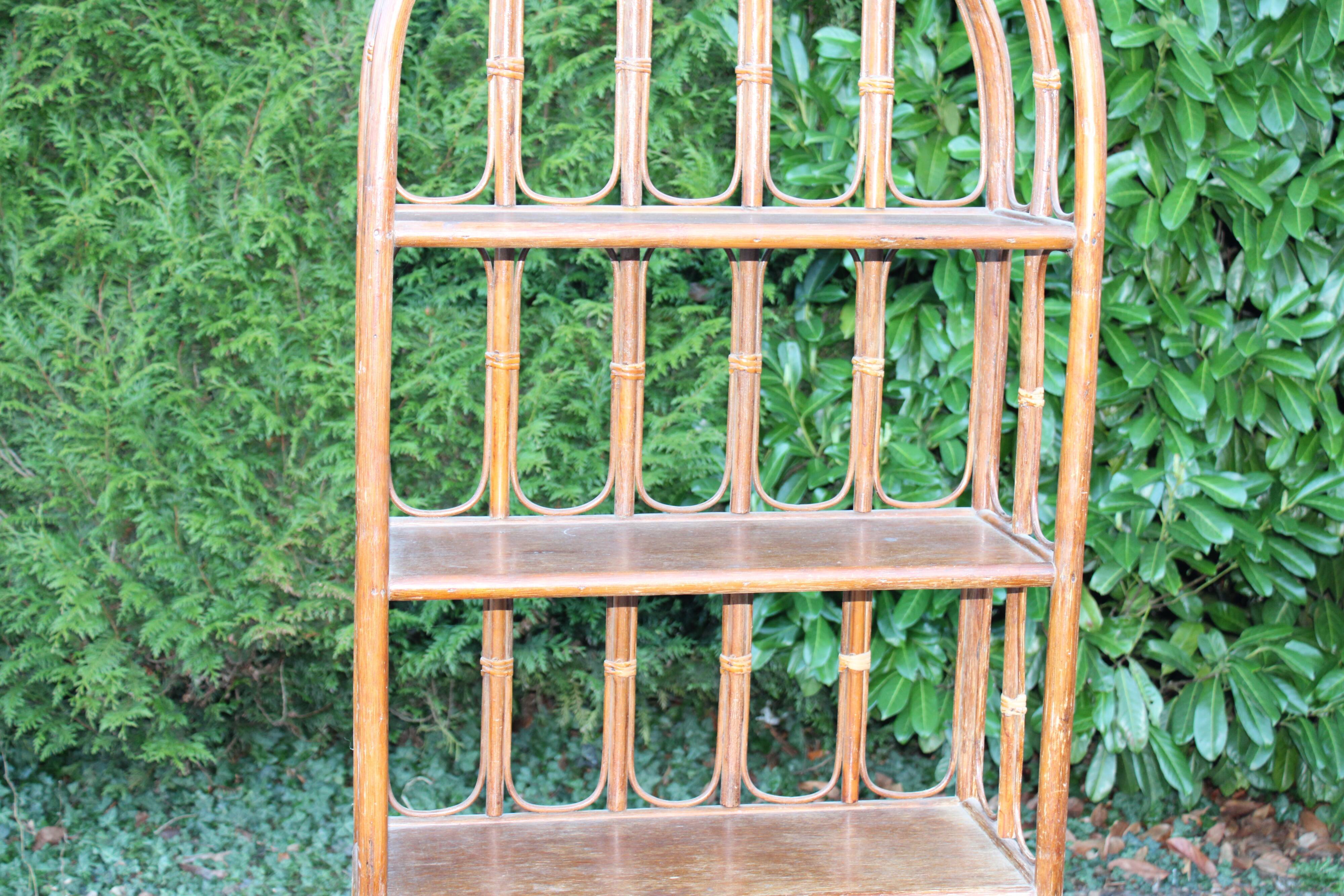 Rattan library