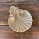 Scallop shell pocket in brass