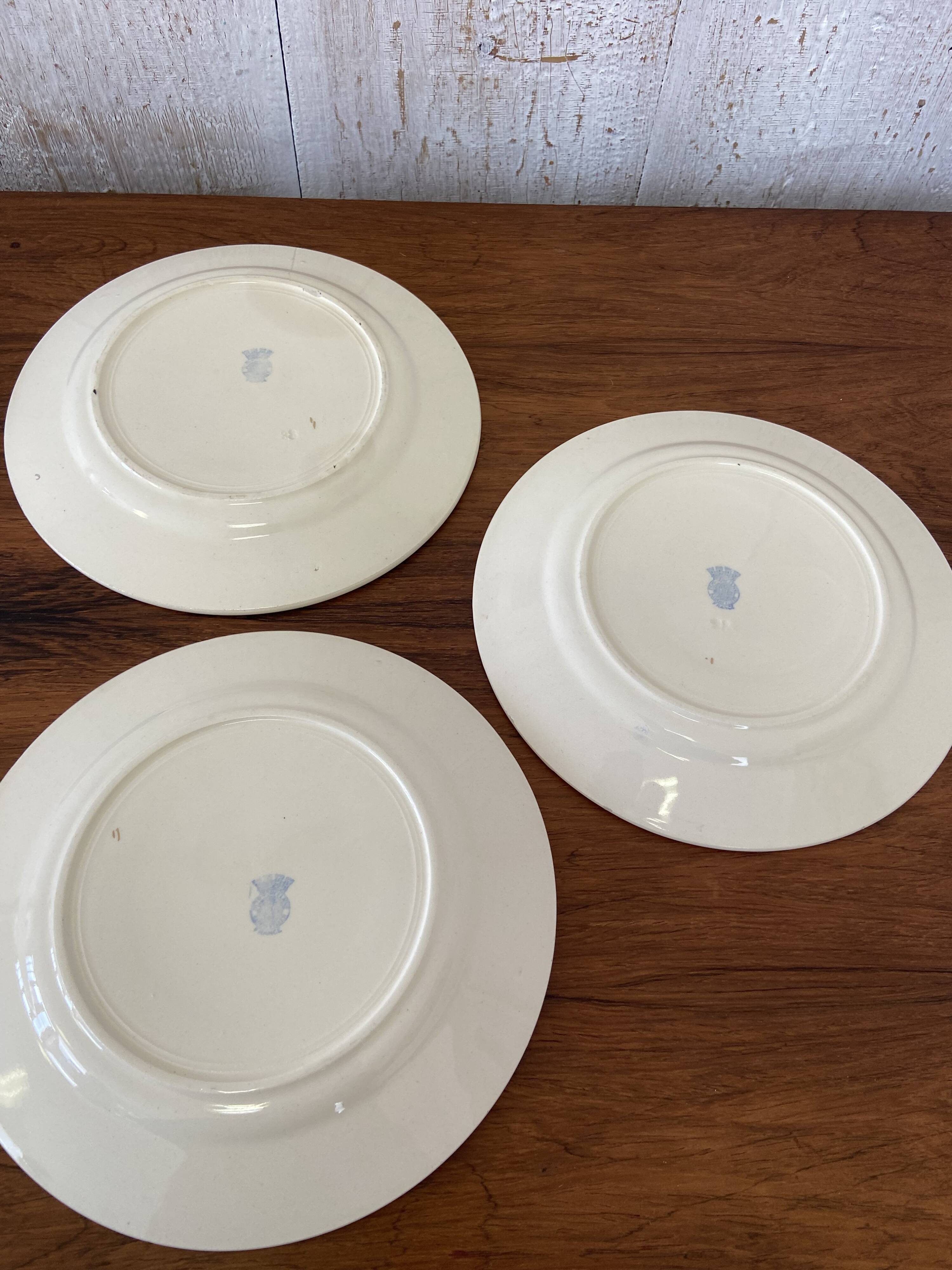 10 plates, 20cm diameter, "Rose" pattern