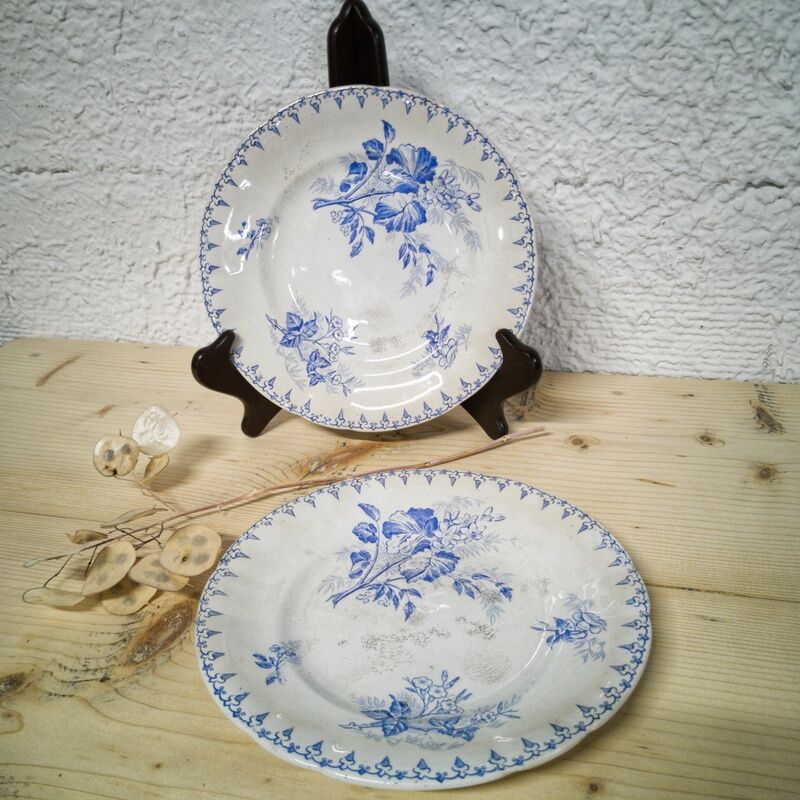 Duo of dessert plates U&C Sarreguemines - model Flore