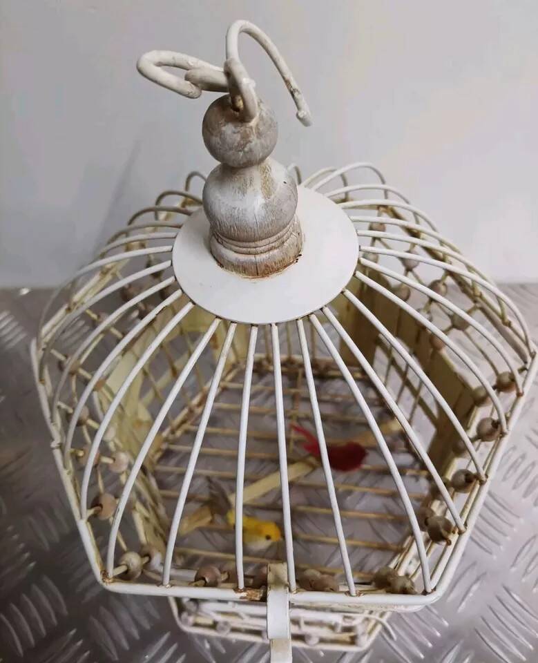 Pair of vintage bird cages