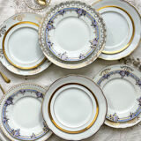 12 Mismatched porcelain plates