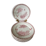 Lot of 9 plates iron earth circa 1900