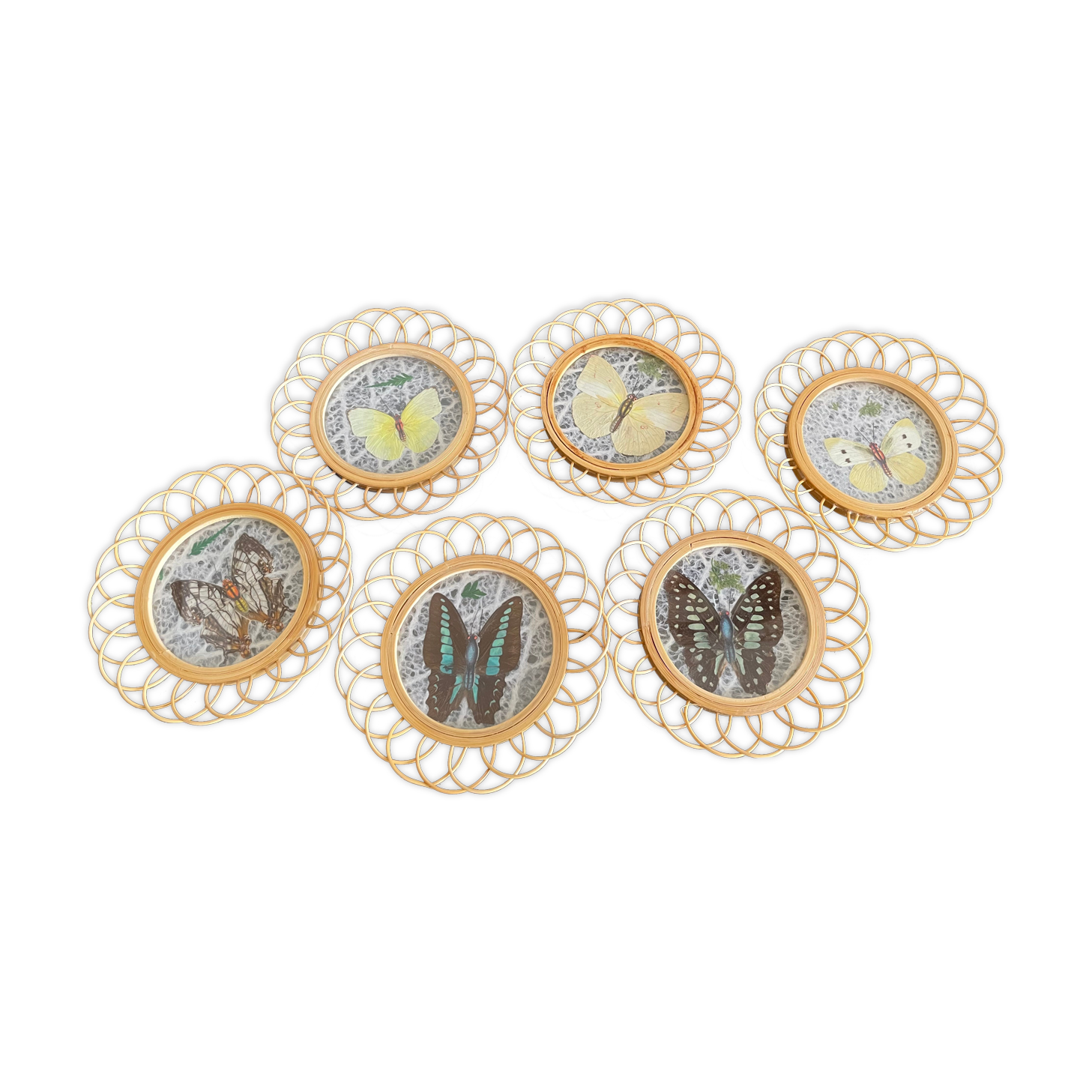 6 under glasses butterfly pattern and rattan