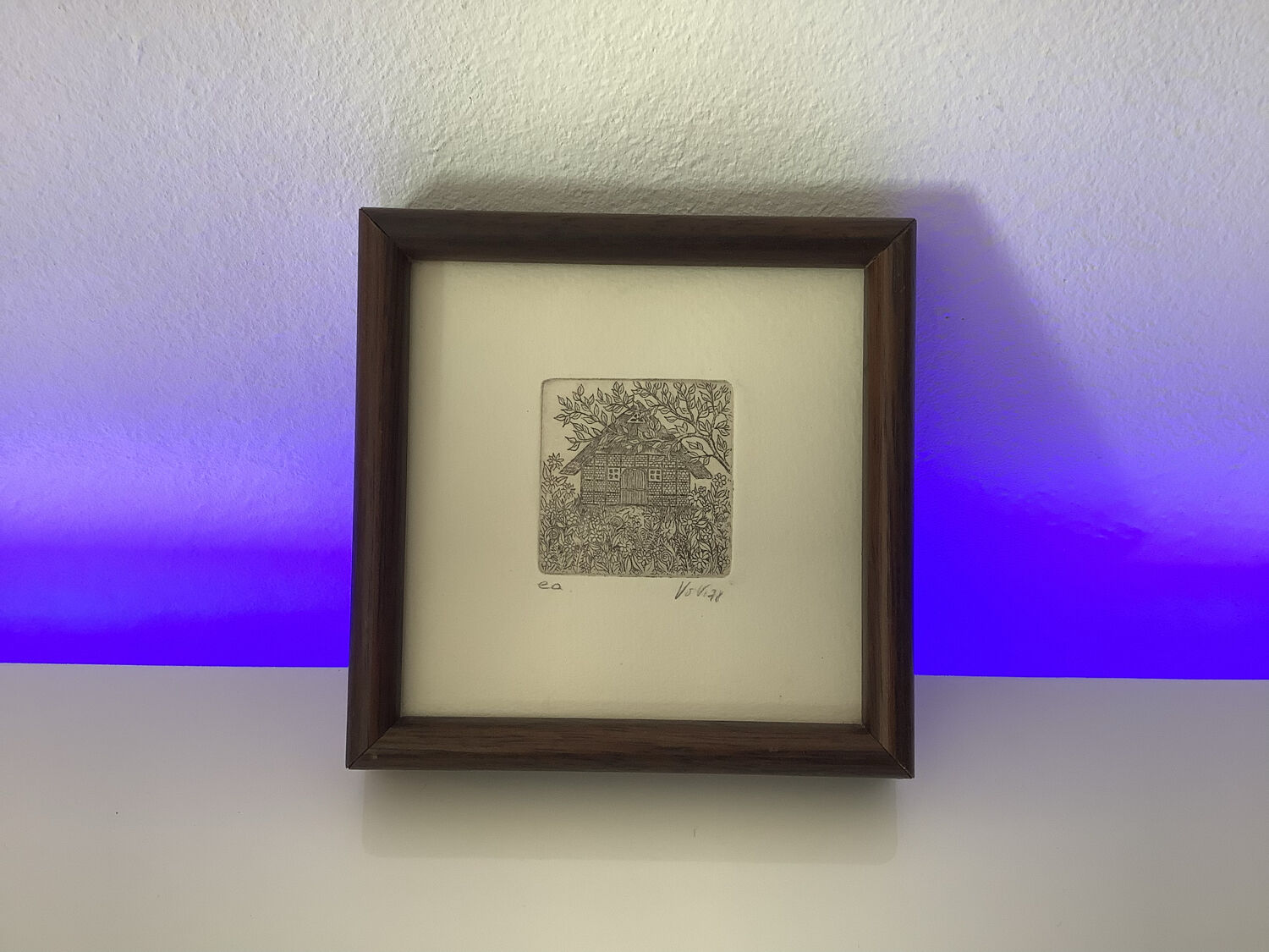 Vintage frame 70s