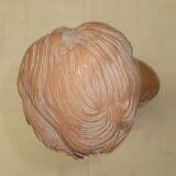 Old bust of a child in platre