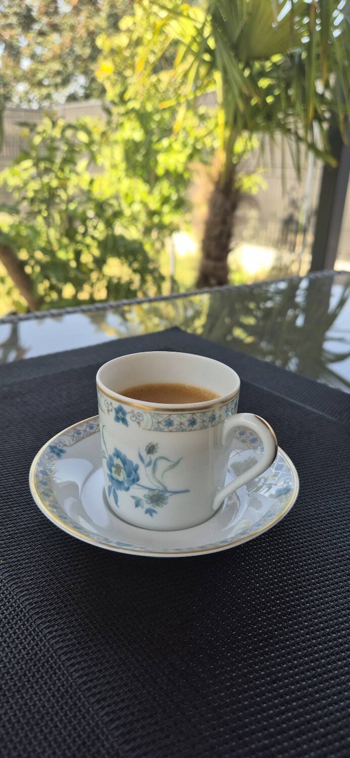 Limoges porcelain coffee service – Haviland France – floral model b