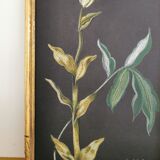 Pastel pencil drawing