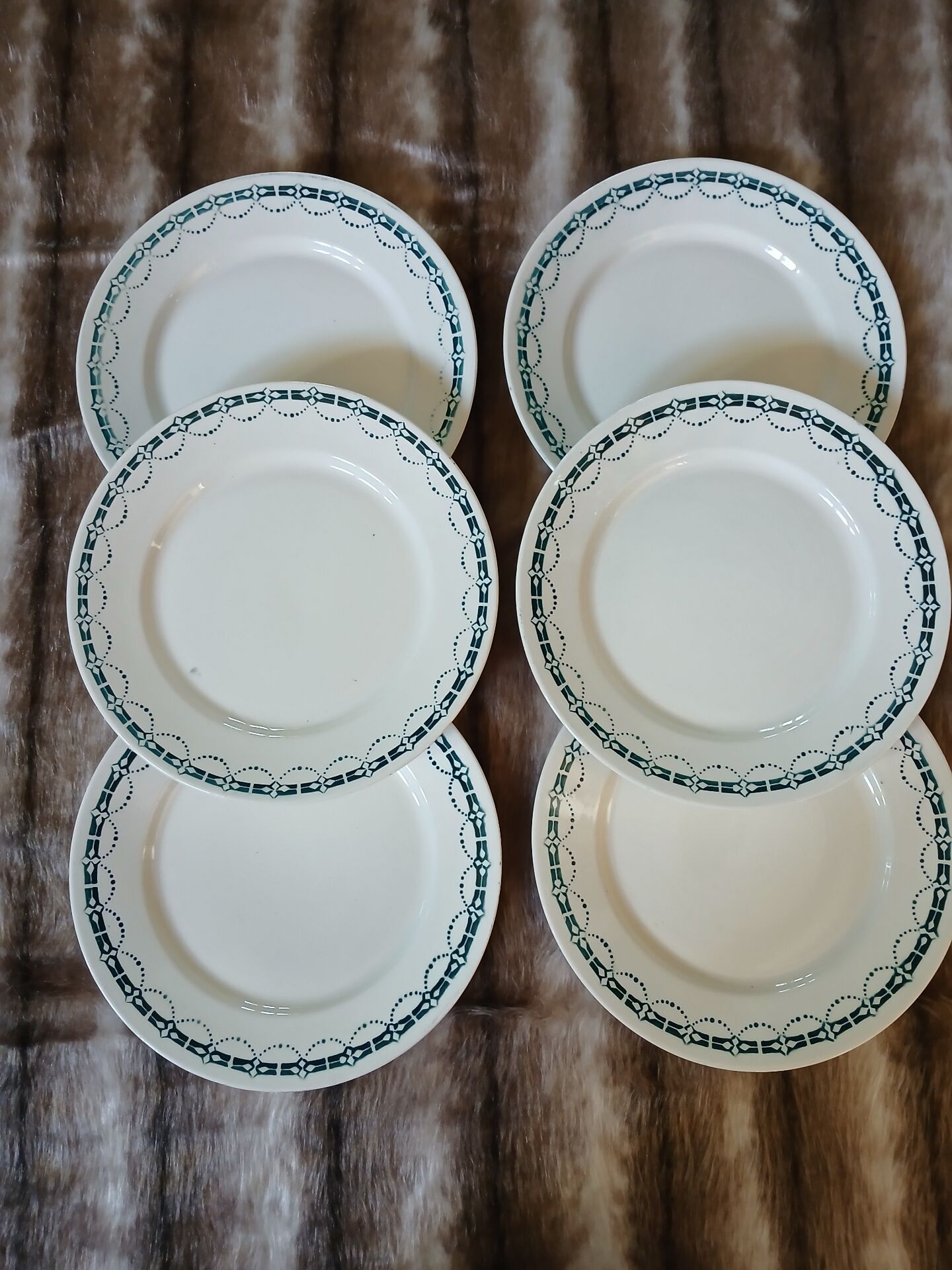 6 assiettes plates anciennes en Terre de fer