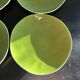 Ceramiche Toscane 6-piece plate set