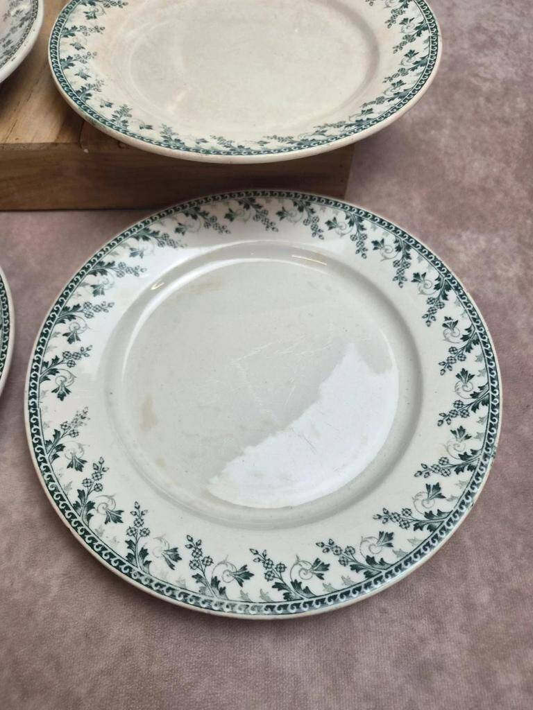 Set of 6 flat plates, Gien Montigny ironstone – old green decoration.