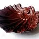 Shell cuts in roccoco earthenware