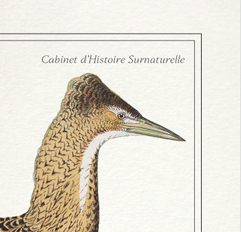 Set of 2 framed chimera lithography animal engraving