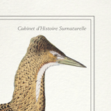 Set of 2 framed chimera lithography animal engraving