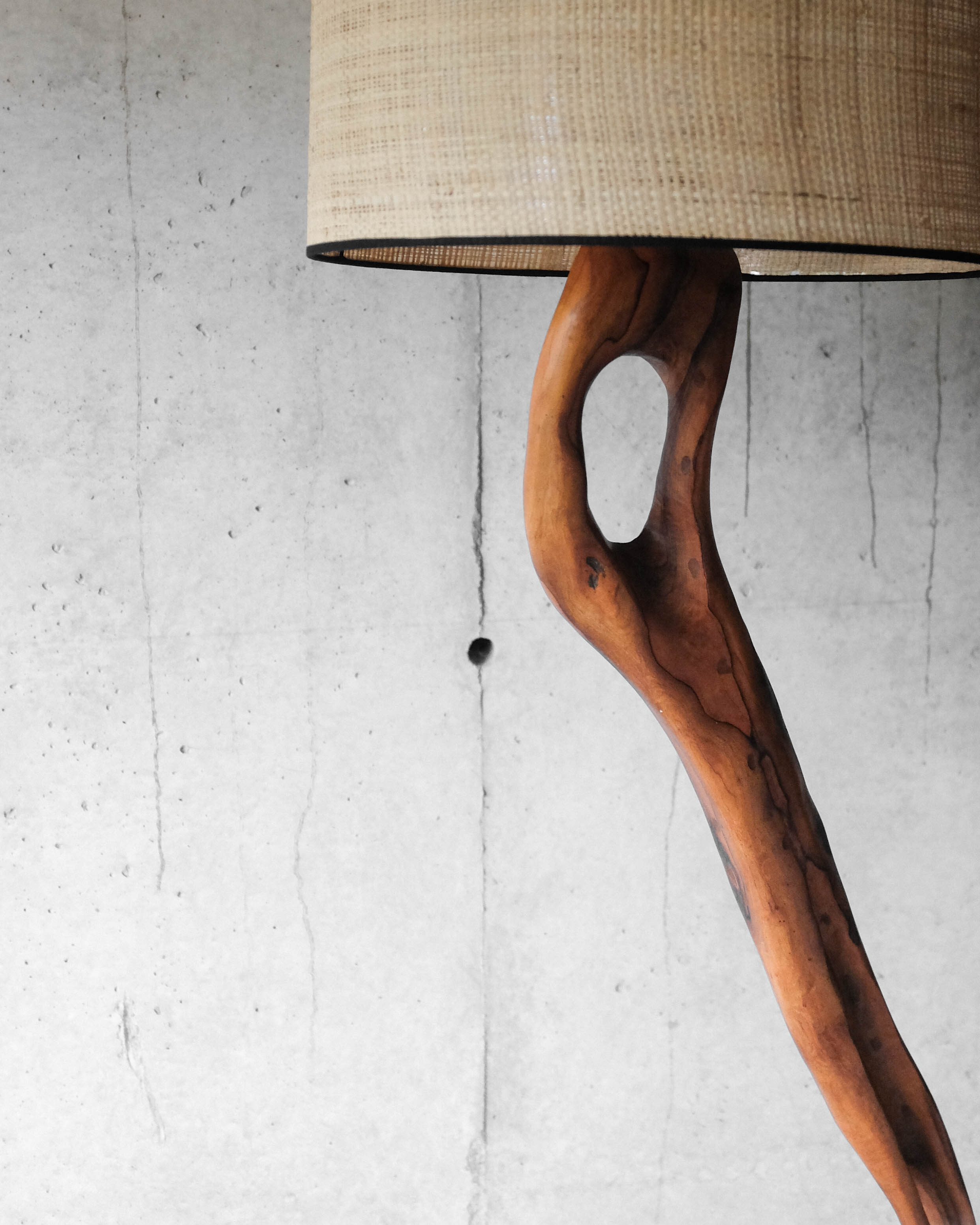 Massive olive tree lamppost - 1960