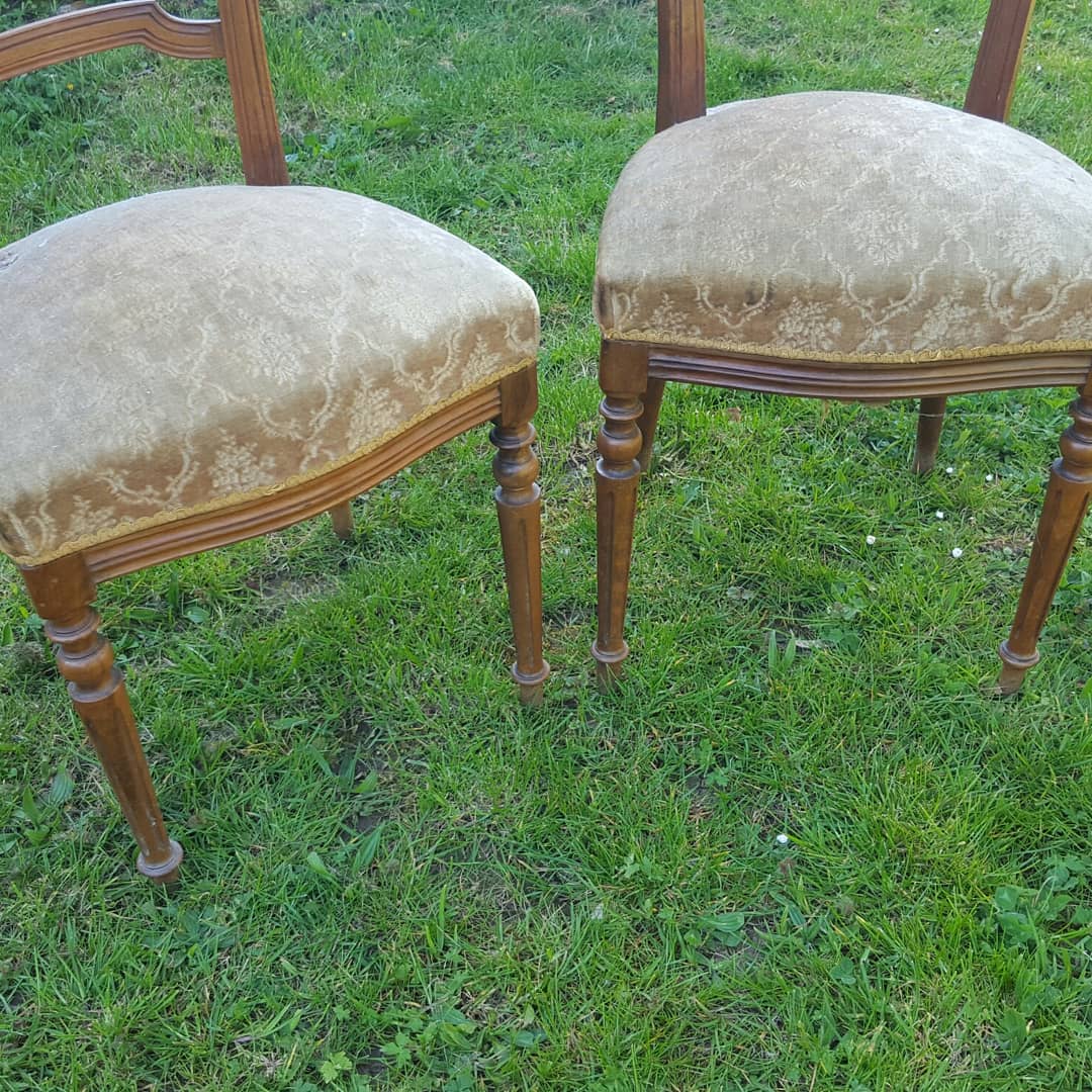 Pair of Napoleon III style chairs