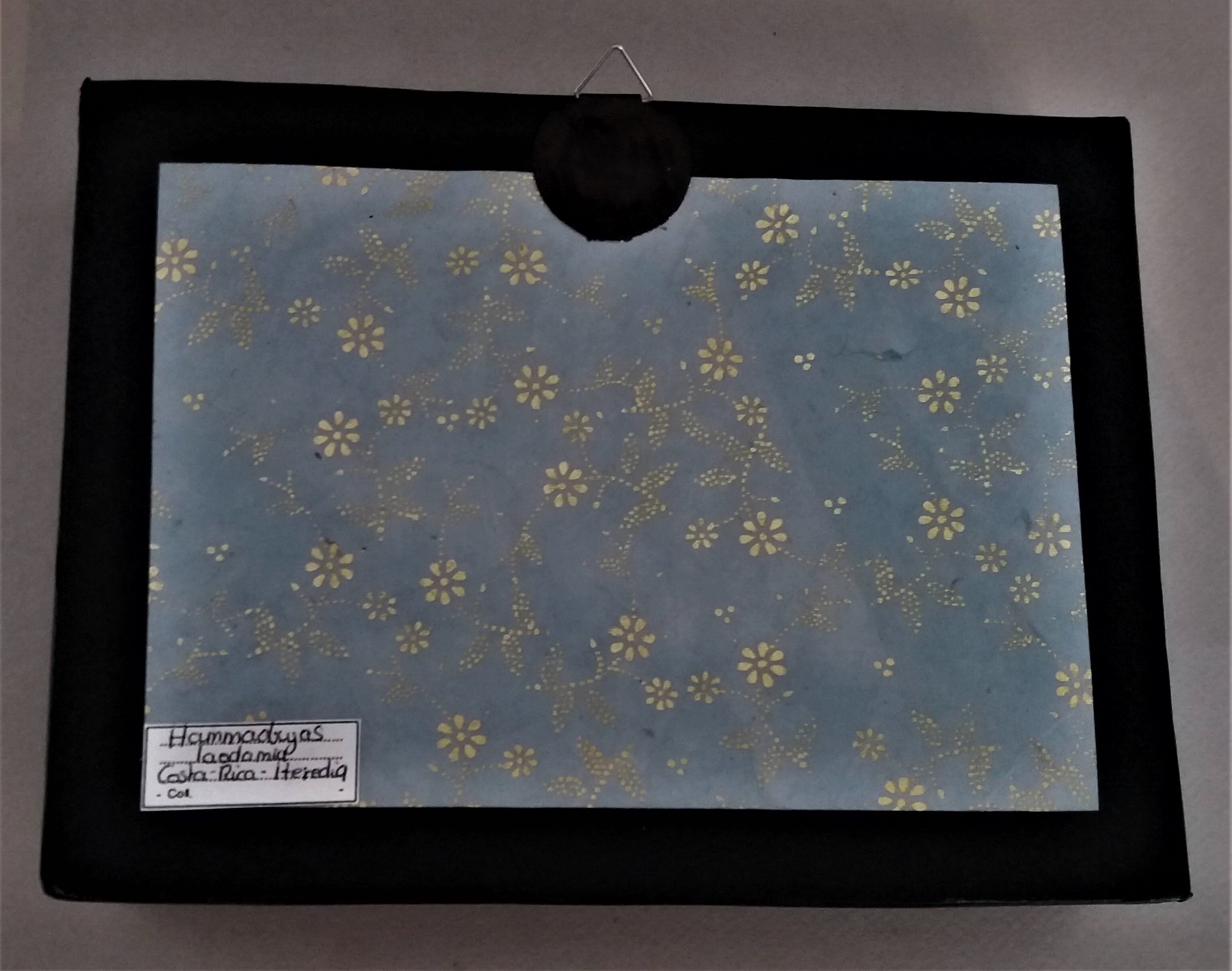 Entomology frame with butterfly hamadryas laodamia