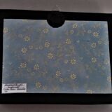 Entomology frame with butterfly hamadryas laodamia