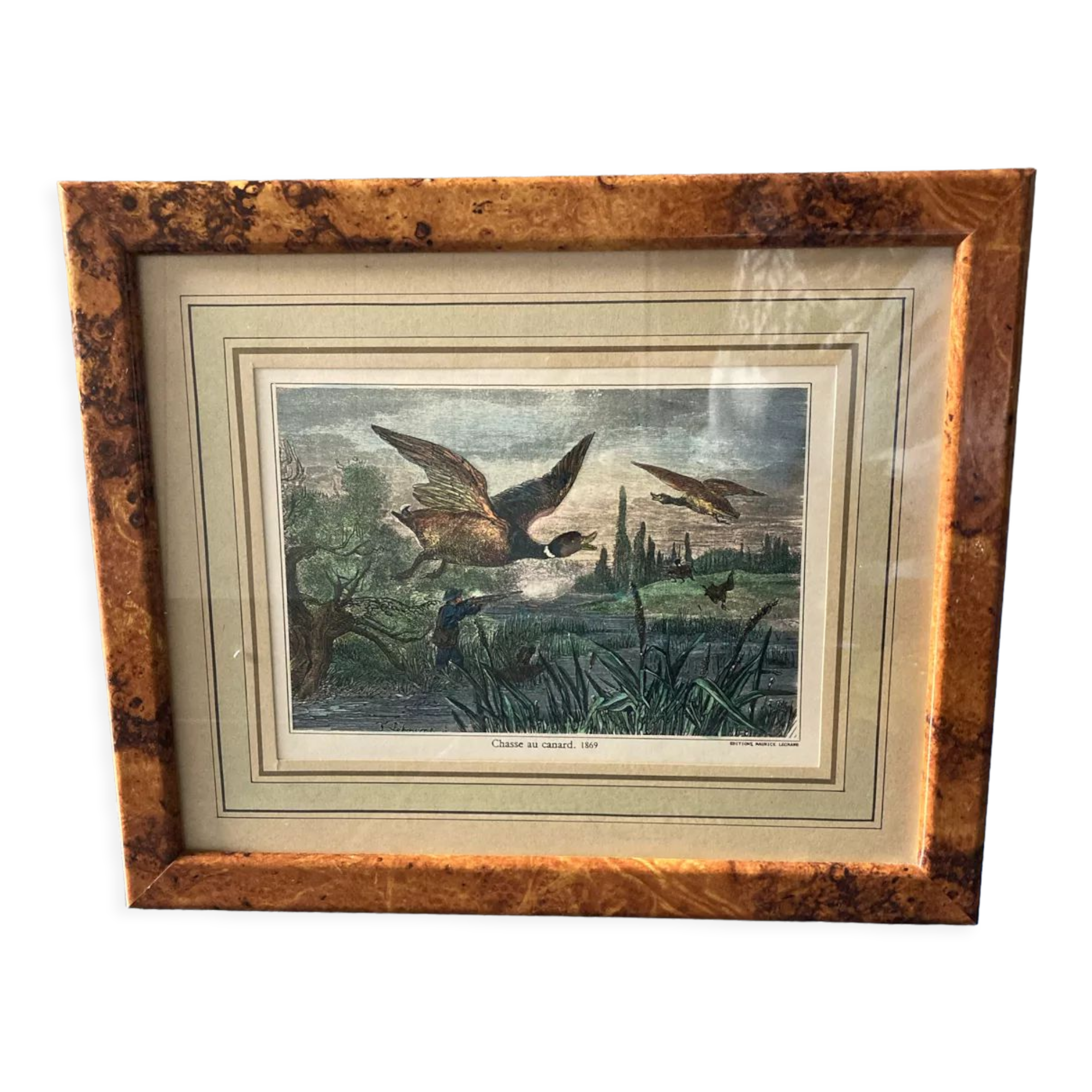 Duck hunting setting