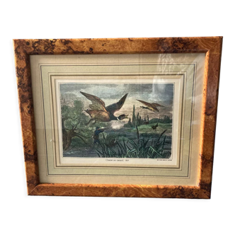 Duck hunting setting