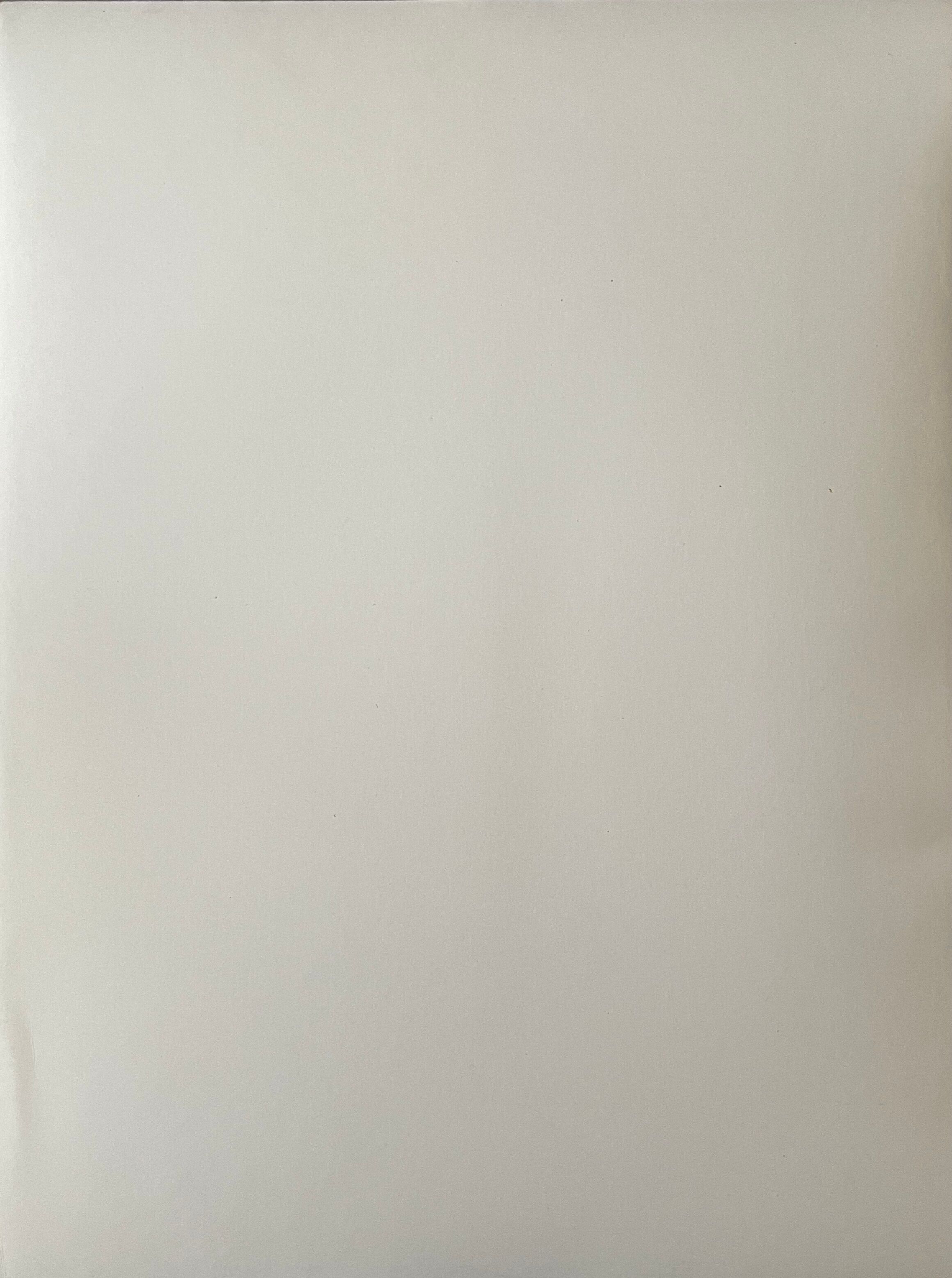 Photograph black and white silver print circa 1970