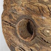 Old wooden pulley wheel on foot