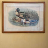 3 prints of ducks and partridges
