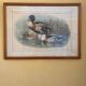 3 prints of ducks and partridges