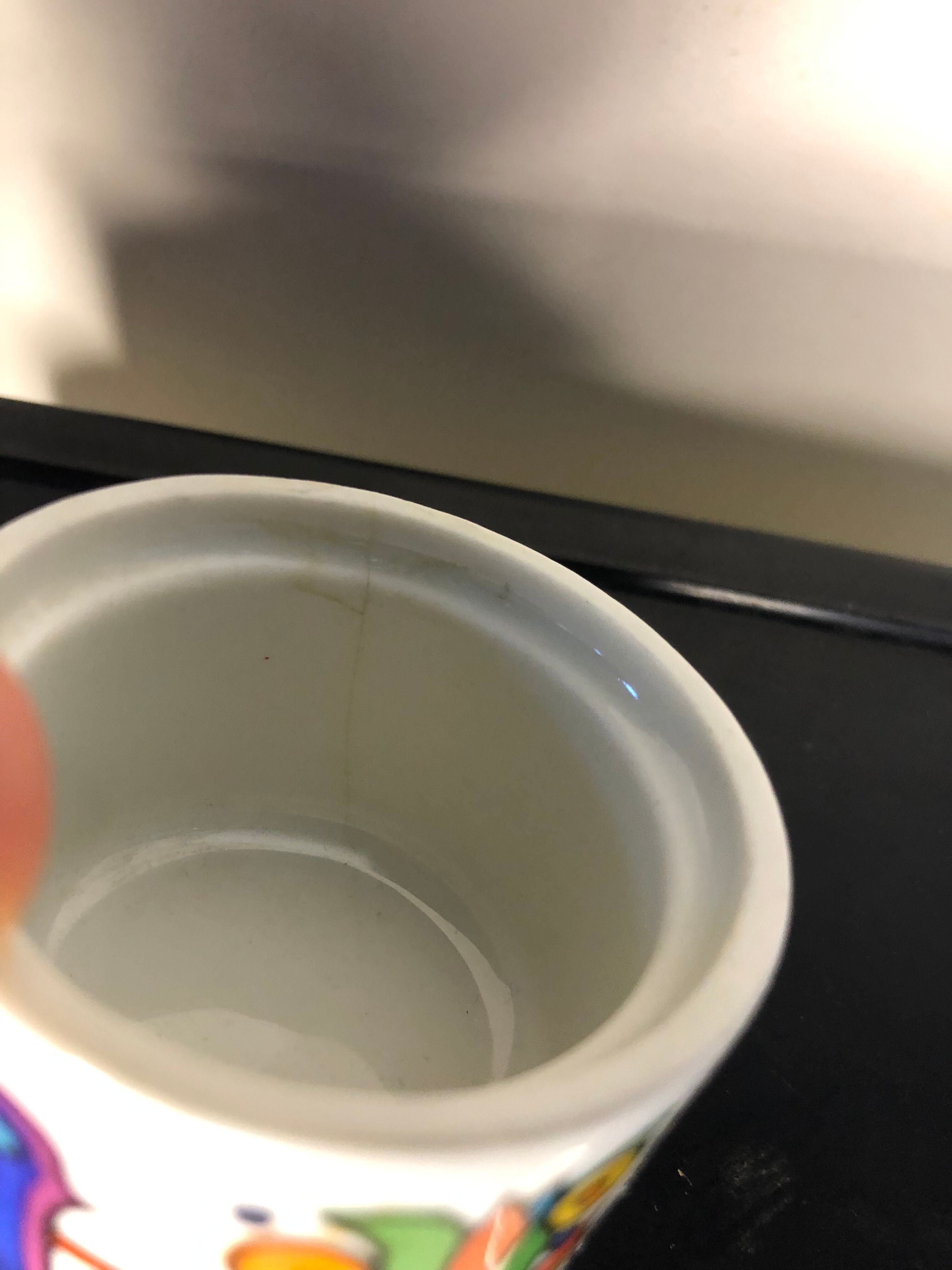 Lot of cockroaches Acapulco Villeroy and Boch