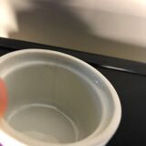 Lot of cockroaches Acapulco Villeroy and Boch