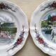 Set of 6 dessert plates in Sarreguemines model Obernai