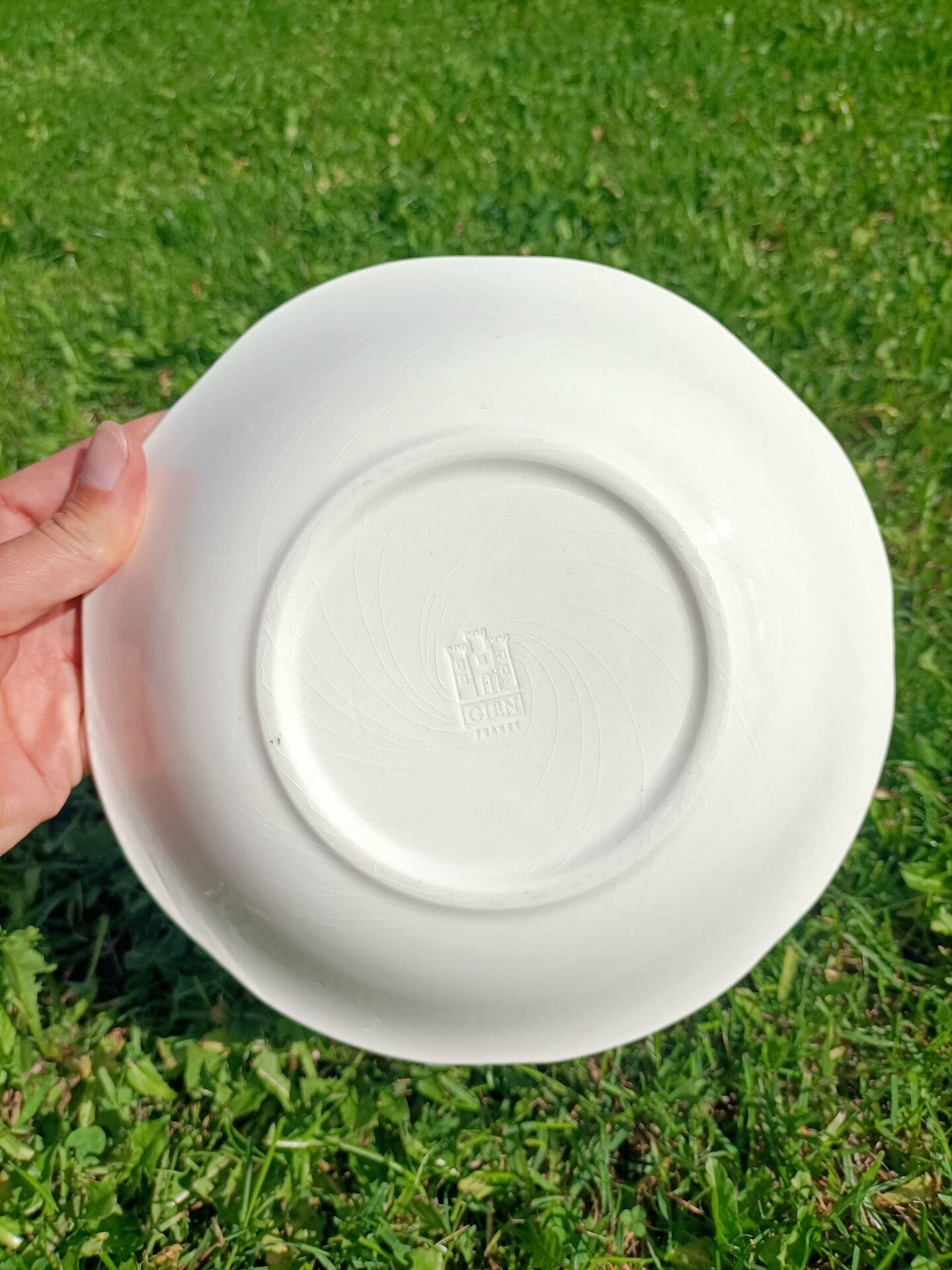 Plat ~ gien