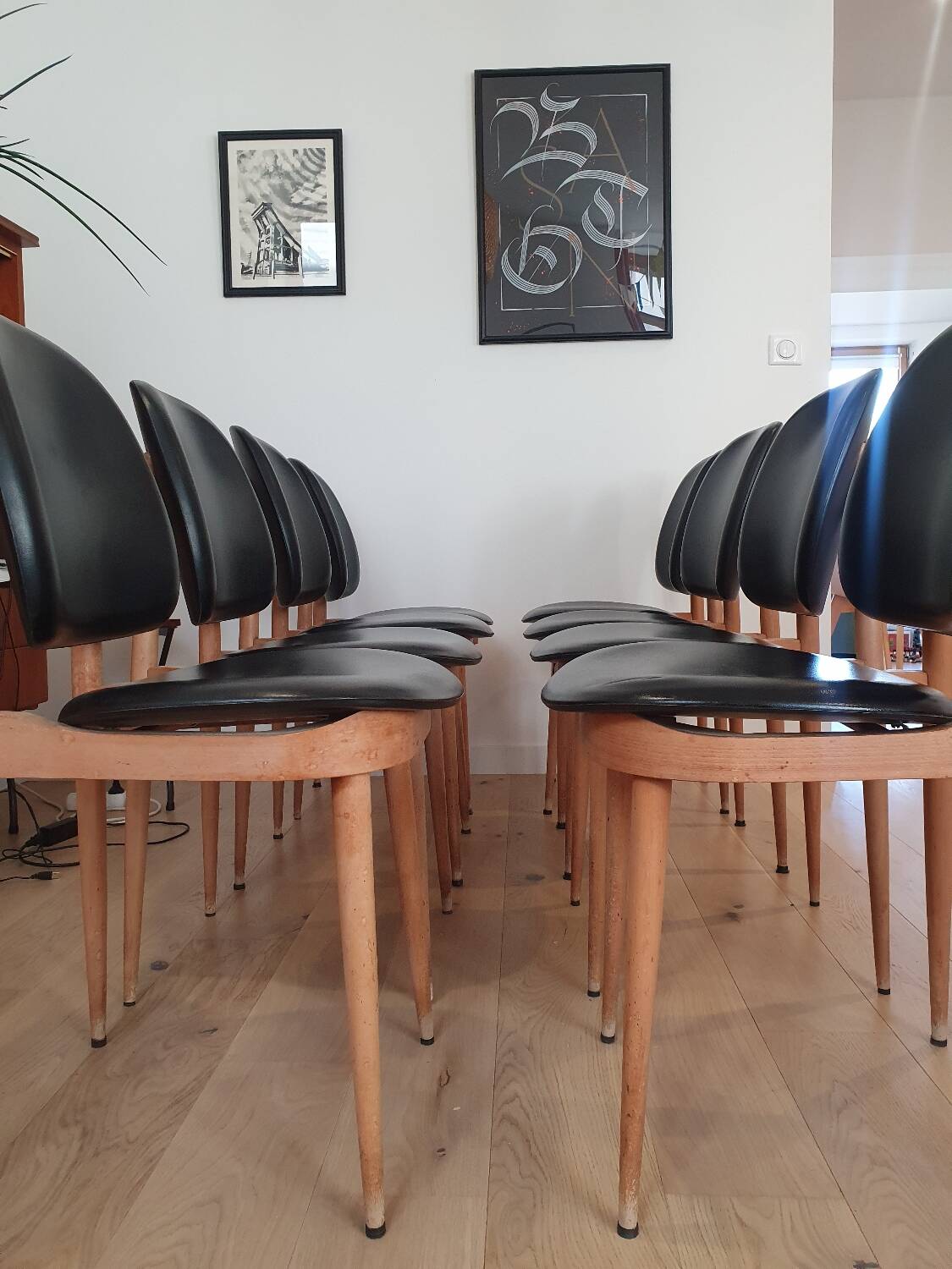 Vintage chairs "Pégase" Pierre Guariche/Baumann