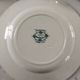 6 flat plates Anémone from St Amand in gray green color