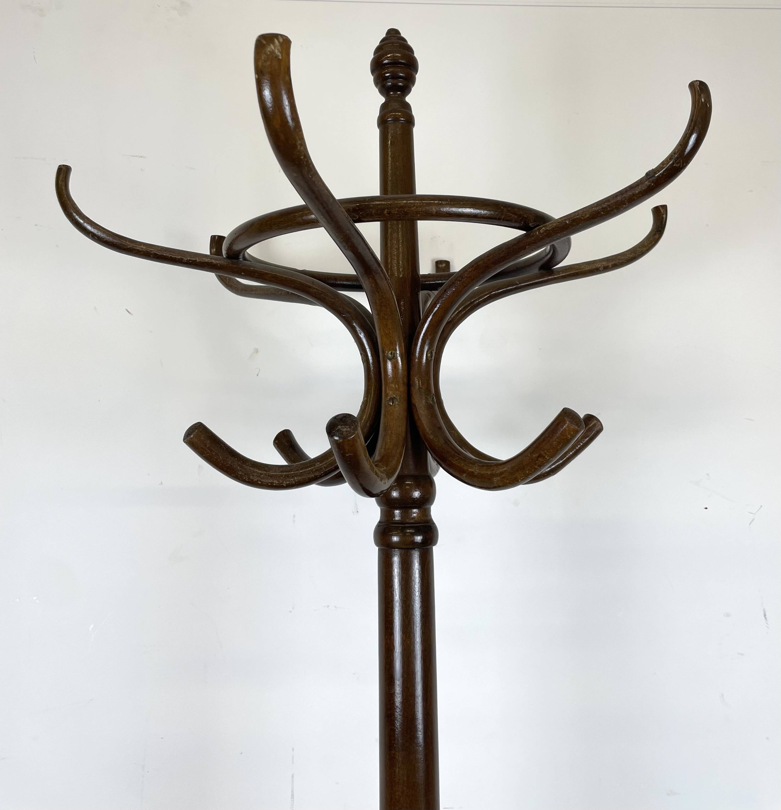 Parrot Coat Rack in Curved Wood-526001