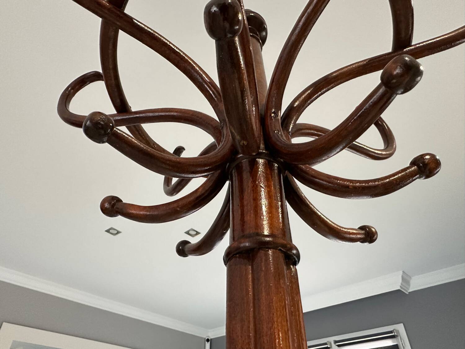 Parrot coat rack Thonet 1920s